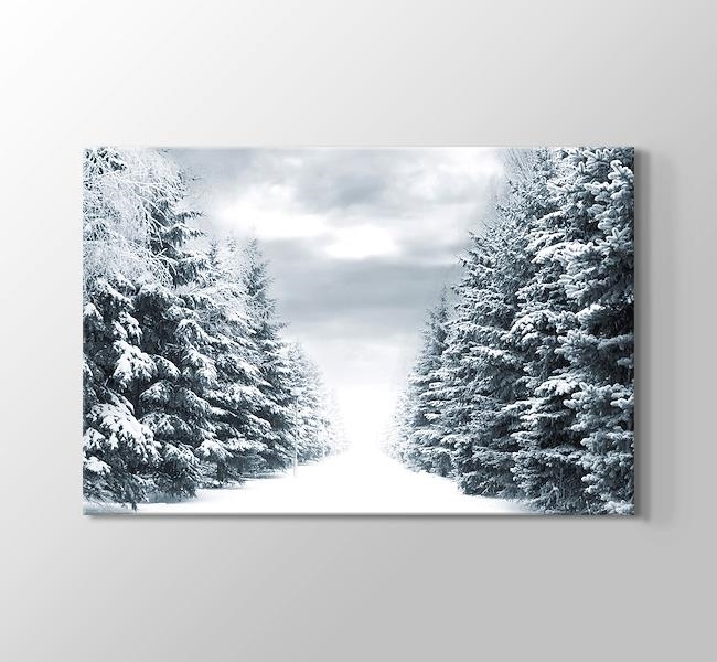  Snowy Road Between Trees