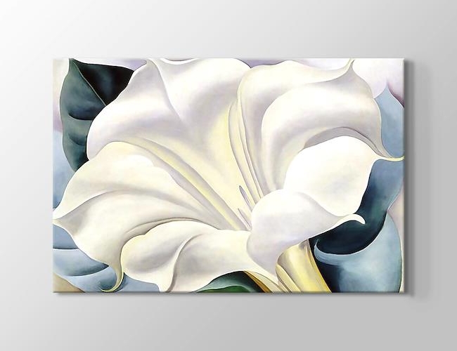 White Trumpet Flower Georgia O'Keeffe Kanvas tablosu