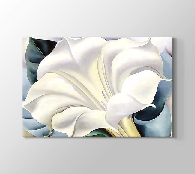  Georgia O'Keeffe White Trumpet Flower