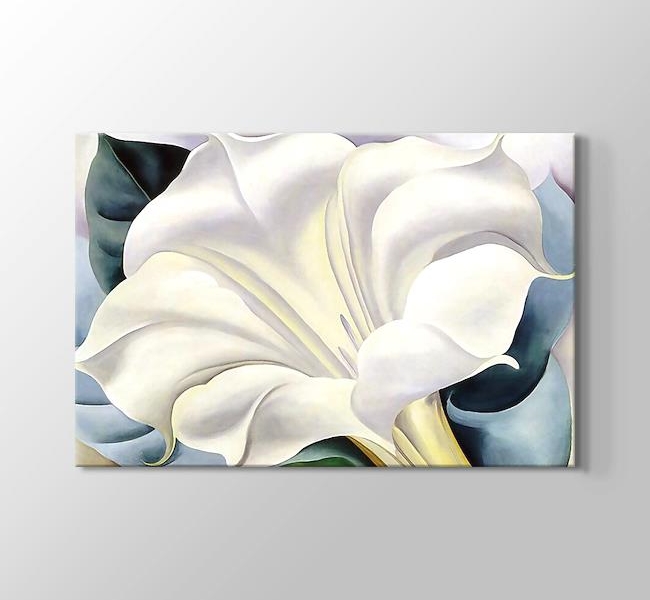  Georgia O'Keeffe White Trumpet Flower