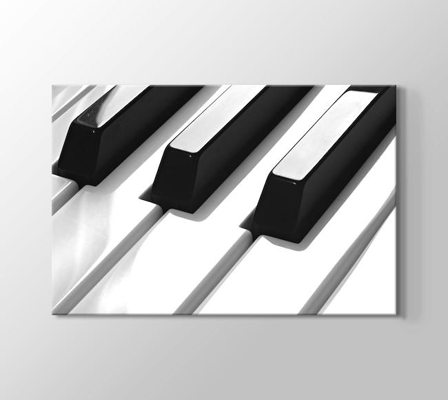  Piyano Tuşları Siyah Beyaz
