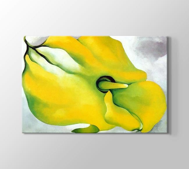  Georgia O'Keeffe Figure Yellow