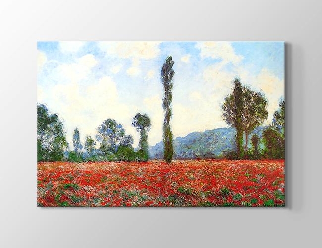 Campo di Papaveri Claude Monet Kanvas tablosu