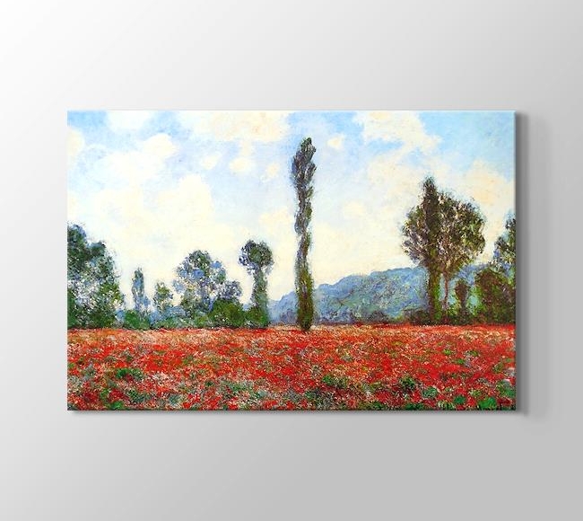 Claude Monet Campo di Papaveri