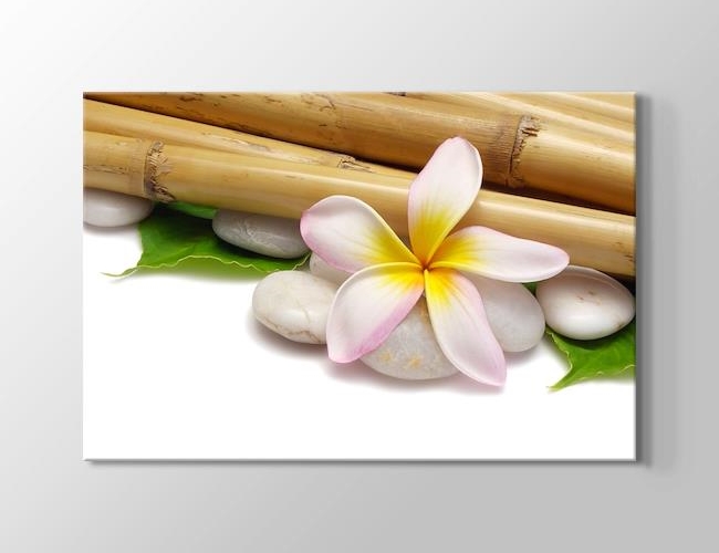 Doğal Bambu Çubuğu, Deniz Taşları ve Çiçek Kanvas tablosu