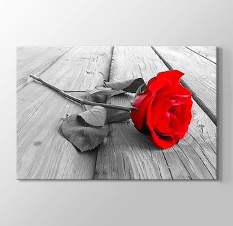 Red Rose on Wood TH022157
