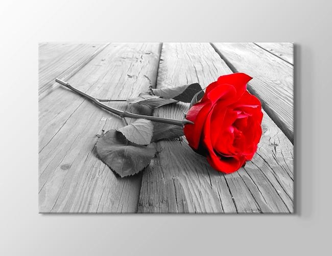Red Rose on Wood Kanvas tablosu