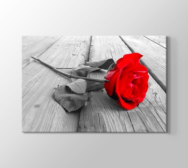  Red Rose on Wood