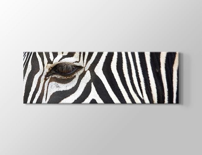 Zebra Siyah Beyaz Kesit Kanvas tablosu