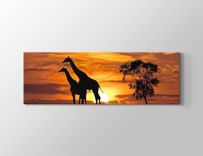 Giraffes and the Sunset Kanvas tablosu
