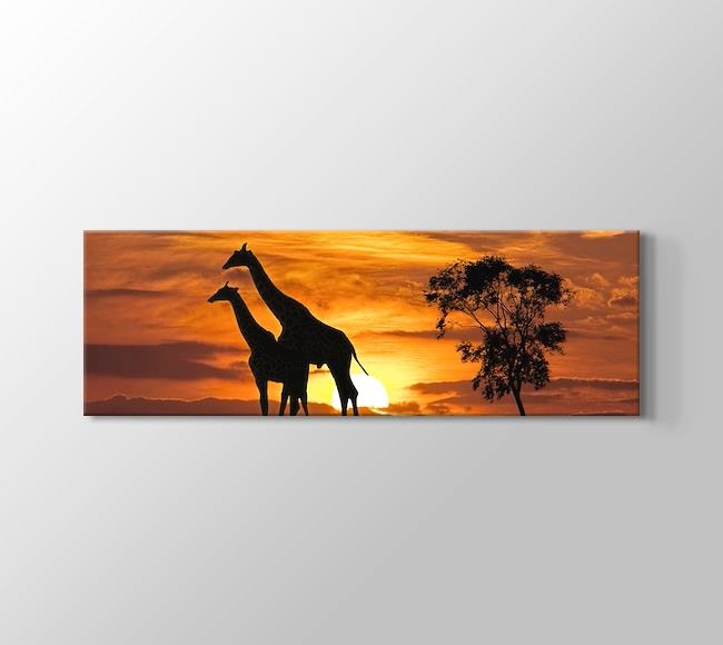  Giraffes and the Sunset