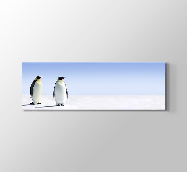  Penguins - Penguenler
