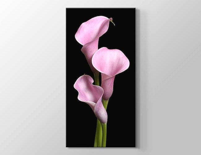 Pink Lilies - Pembe Zambaklar Kanvas tablosu