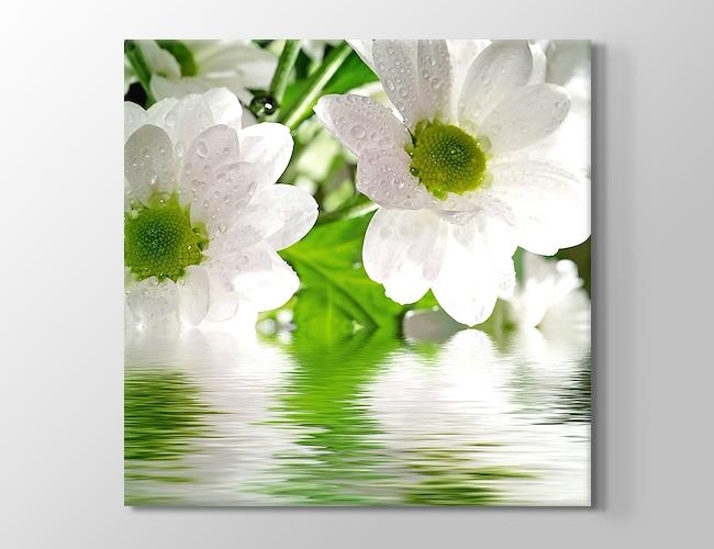 Flower - Yeşil Su ve Beyaz Yapraklar Kanvas tablosu