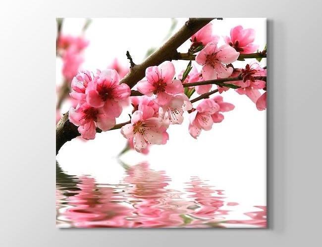 Pink Flower Kanvas tablosu