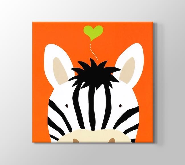  Sevimli Zebra 