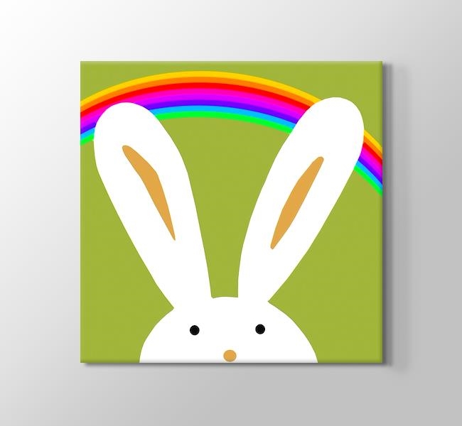  Bunny and the Rainbow