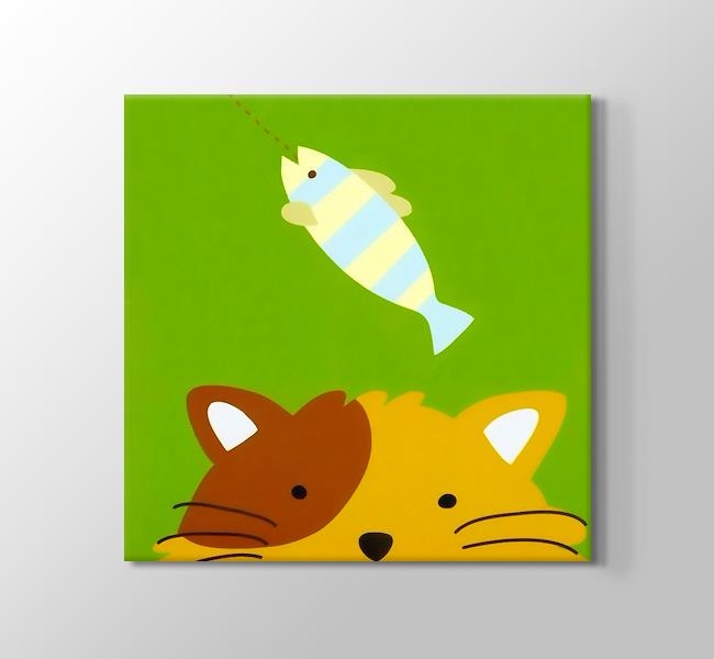  Fish and Cat
