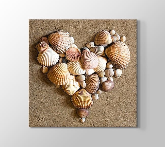  Heart Shaped Sea Shells