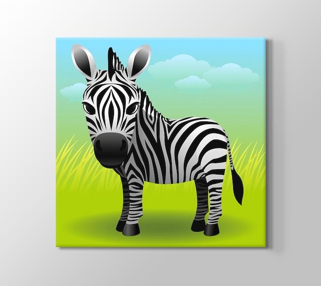  Küçük Zebra