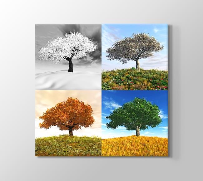  Four Seasons II
