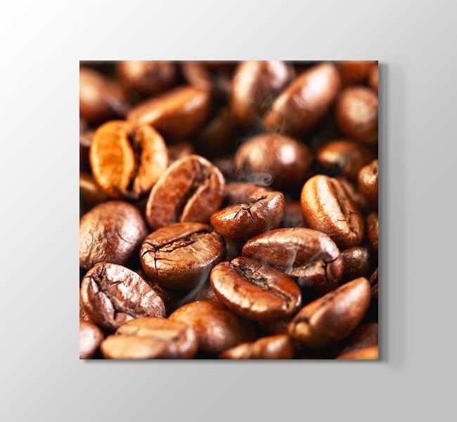  Coffe Beans