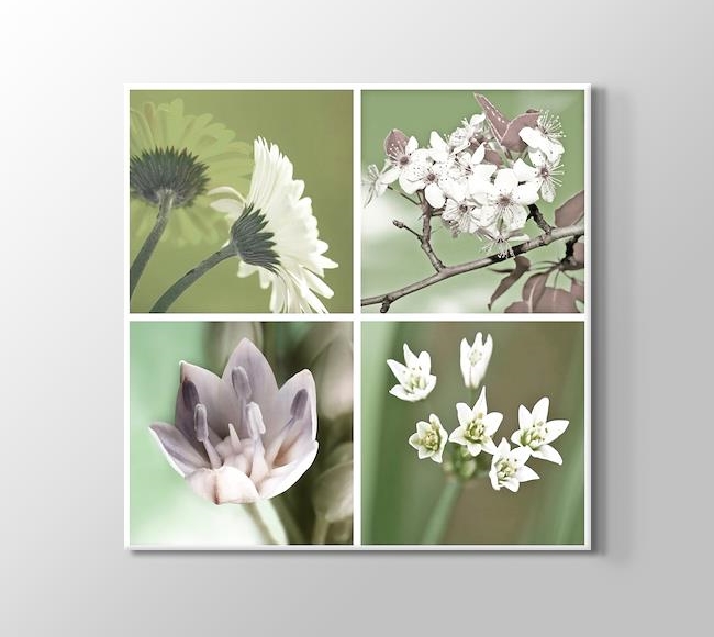 Soft Renklerde Çiçekler - Quattro Flowers