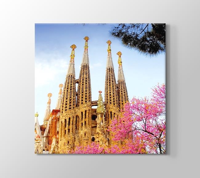  Barcelona - La Sagrada Familia