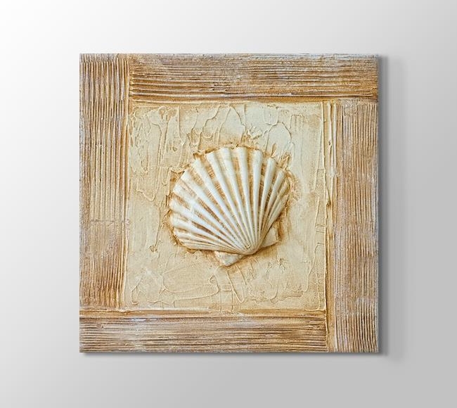  Seashell