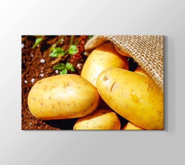  Potatoes - Patates