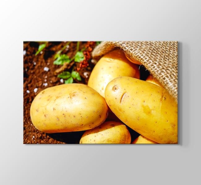  Potatoes - Patates