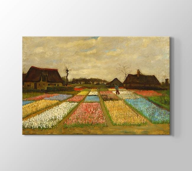  Vincent van Gogh Flower Beds in Holland