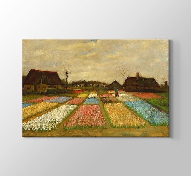  Vincent van Gogh Flower Beds in Holland