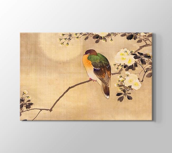  Matsumura Keibun Japanese Silk Painting of a Wood Pigeon