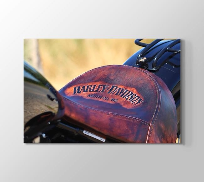  Harley Davidson 2