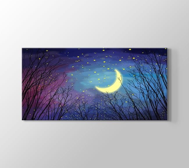  Panaromik Gece Gökyüzü - Yıldızlar ve Ay 