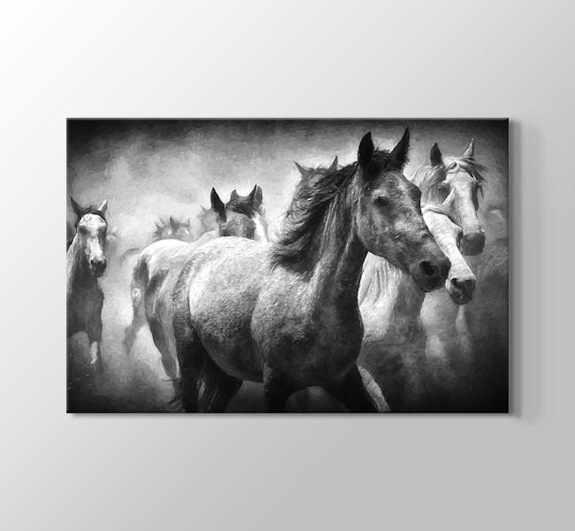 Siyah Beyaz Koşan Atlar - Kanvas Tablosu
