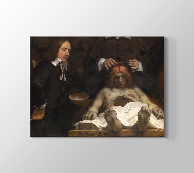  Rembrandt The Anatomy Lesson of Dr. Deijman
