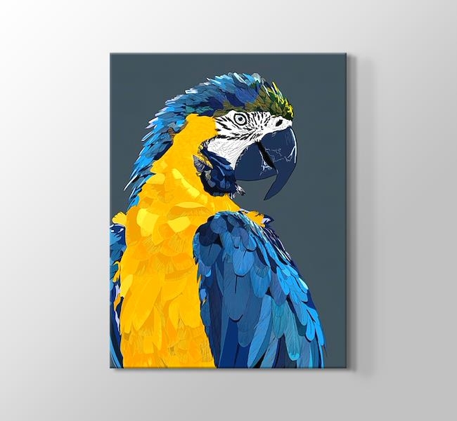  Mavi ve Sarı Renkli Papağan