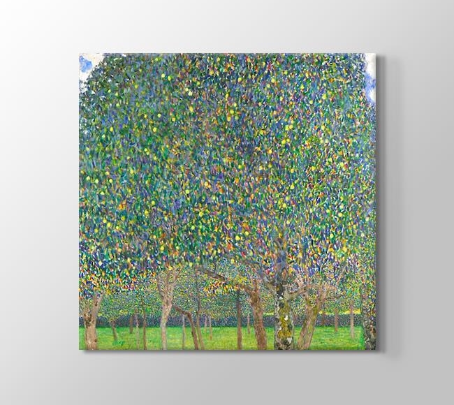  Gustav Klimt Pear Tree - Armut Ağacı