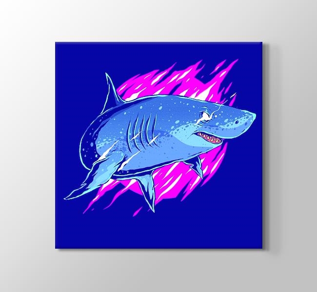  Şimşek Gözlü Köpekbalığı Mavi Derinlik