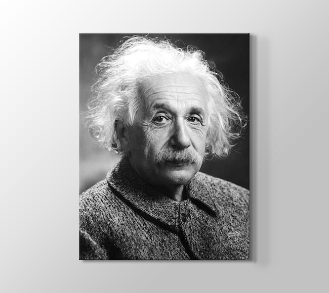  Albert Einstein - Teorik fizikçi