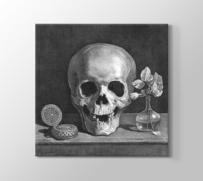  Jean Morin Memento Mori - The Skull - Kafatası