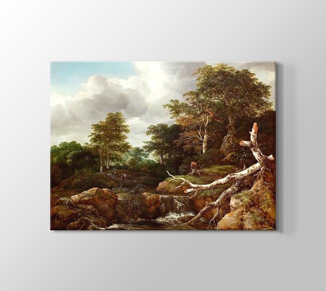  Jacob van Ruisdael Forest Scene