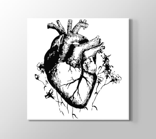  Detaylı Kalp Çizimi