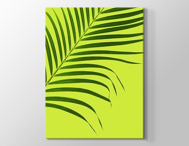 Yeşil Fonda Uzun Yaprak Kanvas tablosu