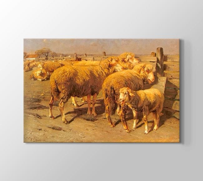  Friedrich Eckenfelder Schafe im Pferch - Kalemdeki Koyun