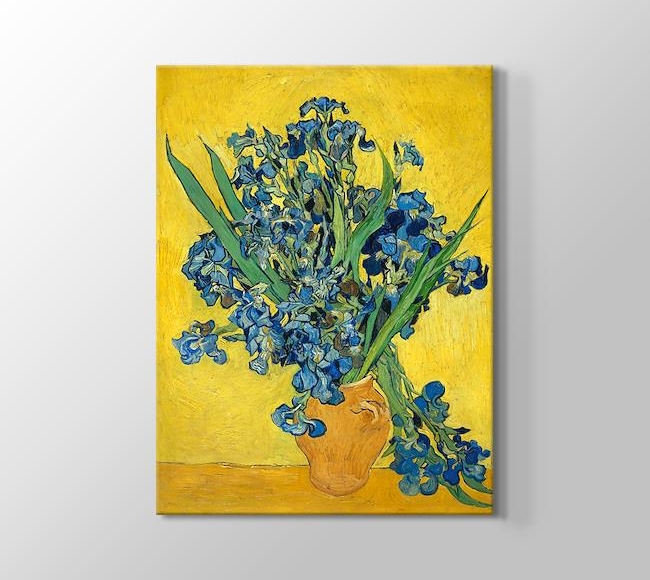  Vincent van Gogh Irises 1890