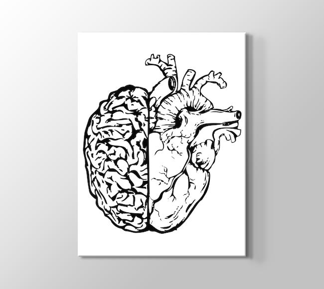  Kalp ve Beyin Birleşimi Çizimi
