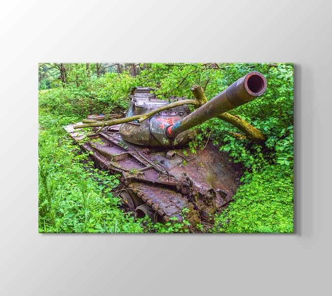  Ormana Gömülmüş Paslı Tank
